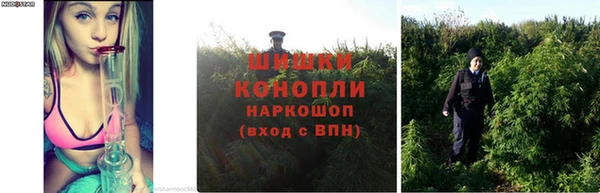 марихуана Алексин