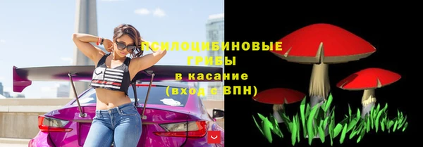 амф Алексеевка