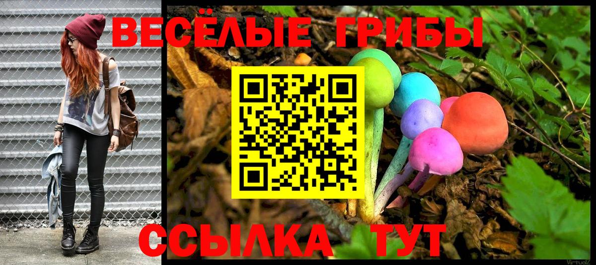 Кириши  купить закладку  Вход с VPN  Псилоцибиновые грибы GOLDEN TEACHER 